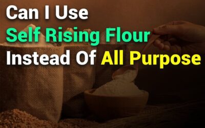 Can I Use Self-Rising Flour Instead of All-Purpose? Complete Guide