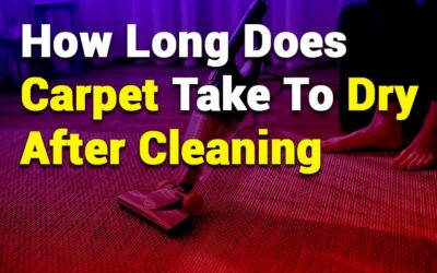 How Long Does Carpet Take to Dry After Cleaning? A Complete Guide