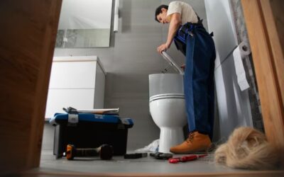 Can You Use Liquid Plumber in a Toilet: Best Alternatives