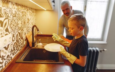 How Much Does It Cost To Move Sdzic462/500 Sink Model In Kitchen? Kitchen Remodel Pricing Guide
