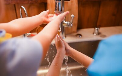 How To Repair A Single-Handle Kitchen Faucet With A Spray Hose? Quick Diy Solution