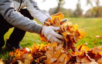 The Value of Using Summer to Prepare for the Fall Season