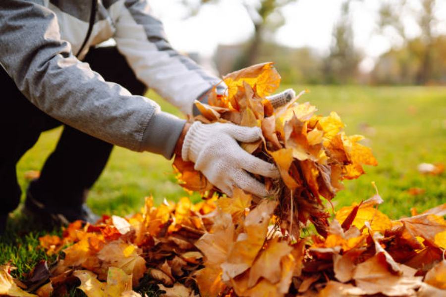 The Value of Using Summer to Prepare for the Fall Season