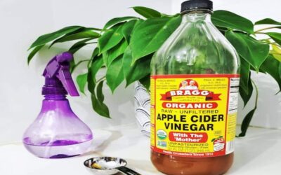 Can Apple Cider Vinegar Be Used for Cleaning? Benefits & Tips