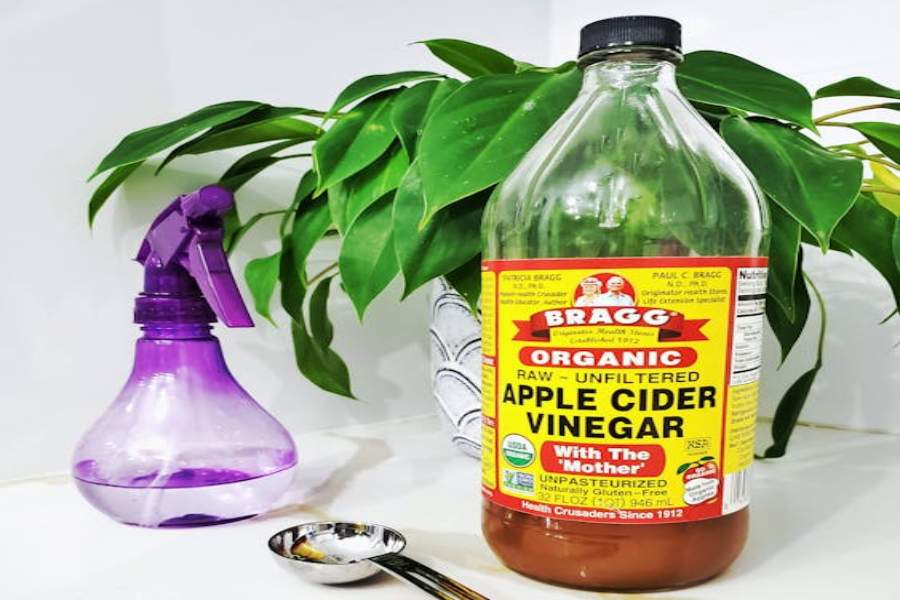 Can Apple Cider Vinegar Be Used for Cleaning? Benefits & Tips